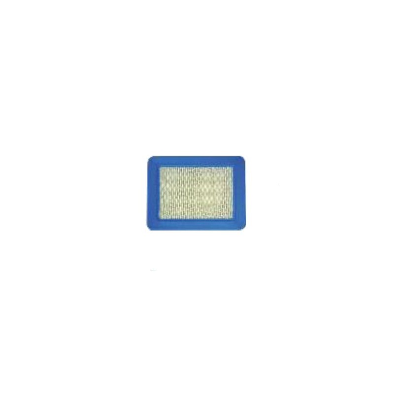 Oro filtras B&S 3.5, 5AG Quantum varikliams