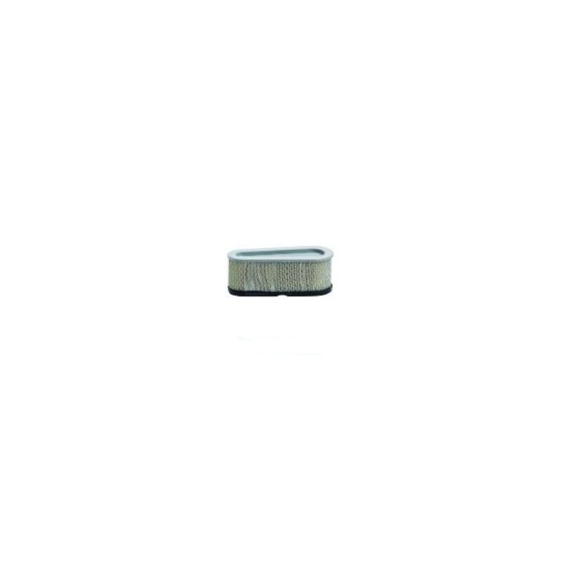 Oro filtras B&S 12, 12.5AG varikliams (30-049)
