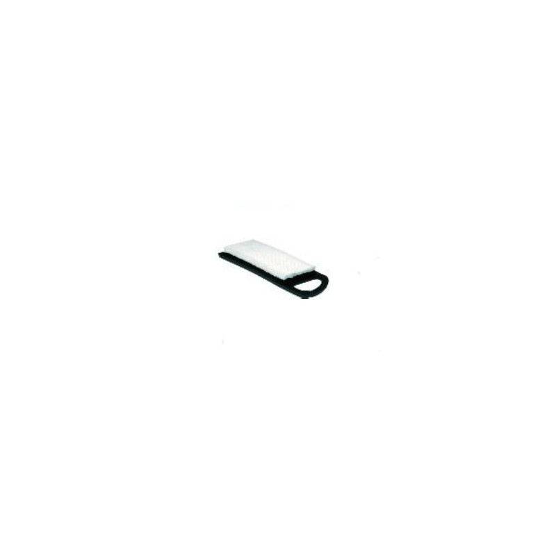 Oro filtras B&S 14, 17.5AG I/C, Intek, AVS varikliams (30-074)