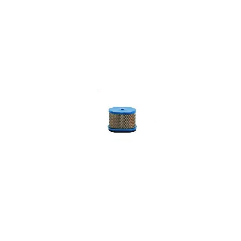 Oro filtras B&S5.5, 6.5AG Intek Pro varikliams (30-033)