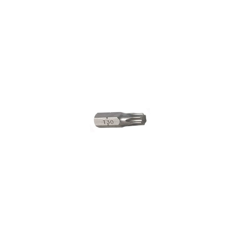 Antgalis TORX