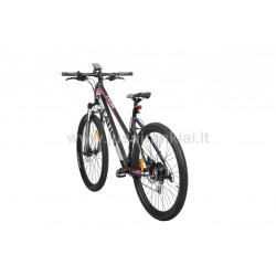 HECHT CATISS elektrinis dviratis 250 W