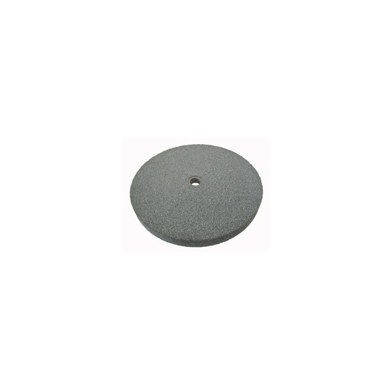 Šlifavimo diskas Ø200 x 20 x 16mm/ Nr.60