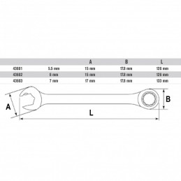 Kombinuotas raktas su terkšle 5.5/6/7mm.