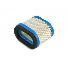 Oro filtras B&S 5,5+6,5KM, INTEK vejapjovės CZKSI0116