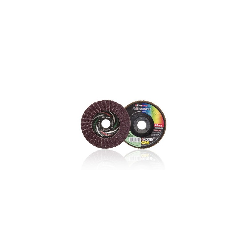 Diskelis šlifavimo lapelių 125x22mm. P24 14A LUGA Rusija
