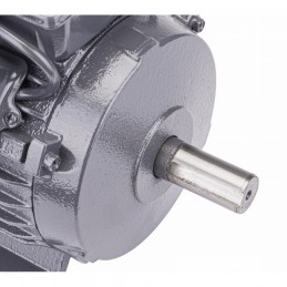 Variklis elektros 3,0kW 230V 2800rpm PM-JSE-3000T