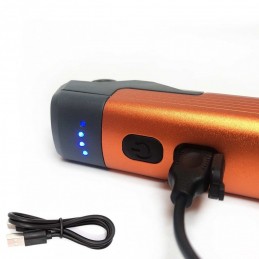 Prožektorius COB 4W + SMD + UVA įkraunamas