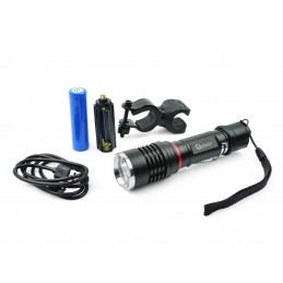 Prožektorius 10W CREE LED 800lm. universalus G15120