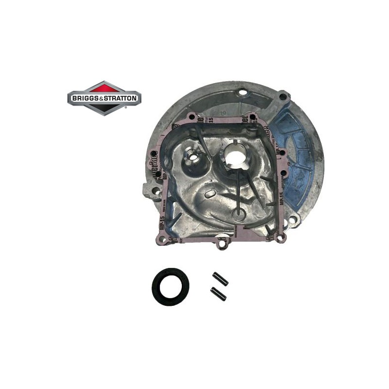 Karteris varikliui BRIGGS&STRATION 594101 OHV