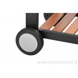 Grilinė dujinė HECHT FIREWOOD 4