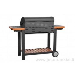 Grilinė dujinė HECHT FIREWOOD 4